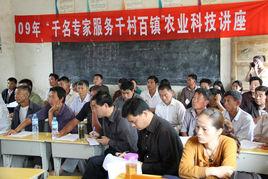 保豐村[安徽省潁上縣慎城鎮保豐村]