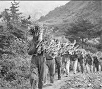 抗美援朝戰爭第五次戰役