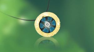 Cameo-pearl Cameo-pearl