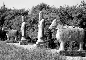 西方人稱西安明十三陵的石刻為“石刻動物園”，這是杜陵文管所保管的第二代秦王朱尚炳墓神道石像