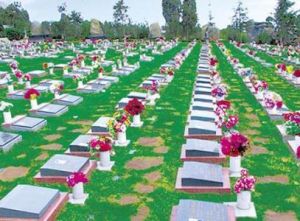 綠色殯葬 綠色殯葬