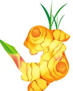 手腳冰冷常吃生薑