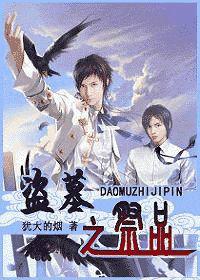 盜墓之祭品 盜墓之祭品