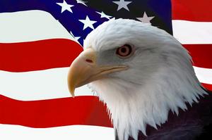 美國國旗與國鳥