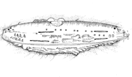 戰列艦阿肯色州倒掛，180英尺深的比基尼礁湖。潛水員的素描從1989年的國家公園管理處潛水