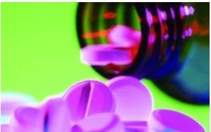 女性碧蘿芷 女性碧蘿芷