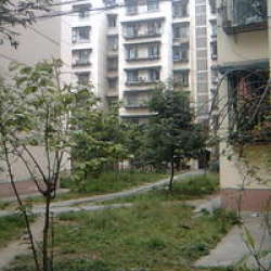 新蓮新苑 新蓮新苑