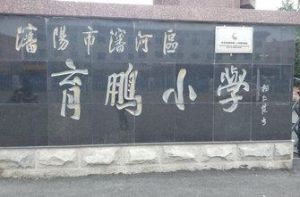 育鵬國小 育鵬國小