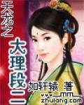 天龍之大理段二 天龍之大理段二