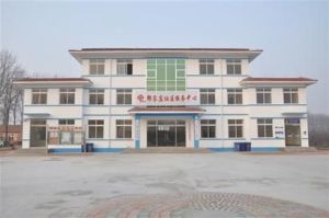 新城街道辦事處中心國小 新城街道辦事處中心國小