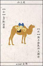 女人森林[顏橋創作言情卡片小說]