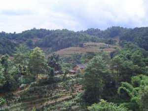 明子自然村 明子自然村