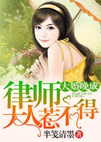 大婚晚成:律師大人惹不得 大婚晚成:律師大人惹不得