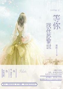 我在蘇黎世等你 我在蘇黎世等你