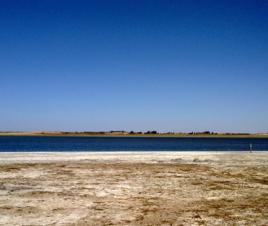 鹽鹼地排水 鹽鹼地排水