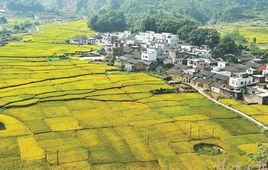 石潭鎮[湖南湘潭縣轄鎮]