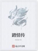踏情傳 踏情傳