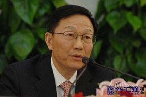 國際貨幣體系改革