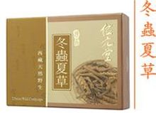 珍品冬蟲夏草