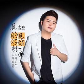 真的好想見你一面 真的好想見你一面