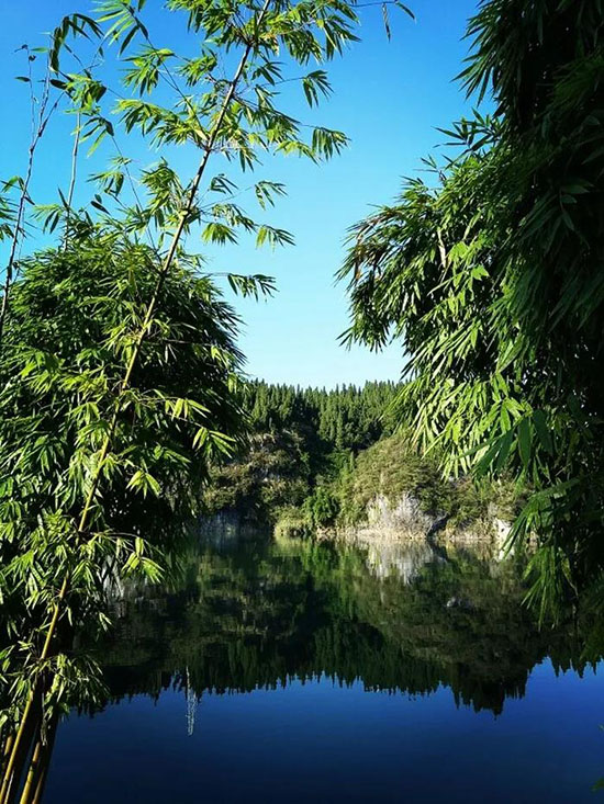 提 交 取 消 提 交 取 消