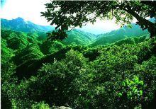 龍天溝自然風景區