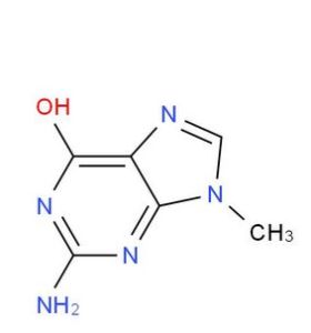 甲基鳥便嘌呤 甲基鳥便嘌呤