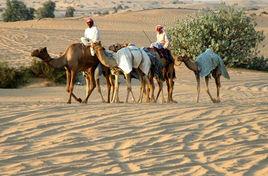 伊朗國家沙漠公園 伊朗國家沙漠公園
