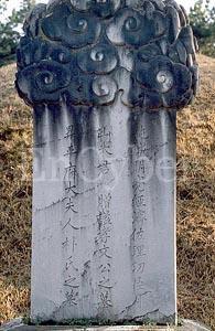 李婷[朝鮮王朝月山大君]