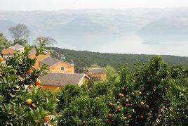 三峽橘海 三峽橘海
