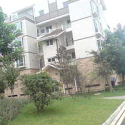 心怡德盛苑 心怡德盛苑