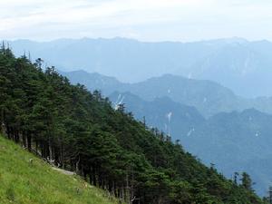 借母溪自然保護區