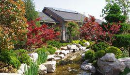 新泰清音公園 新泰清音公園