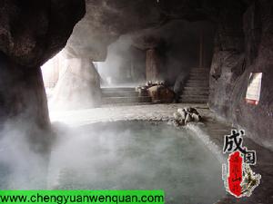 成園溫泉山莊室外溫泉圖片