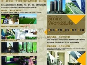 雙井上城 雙井上城