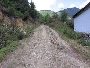 月亮坪自然村 月亮坪自然村