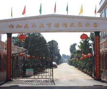 柏加鎮花木大市場——中南地區最大花木市場