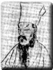 王守仁(1472～1529)