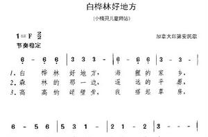 白樺林好地方 白樺林好地方