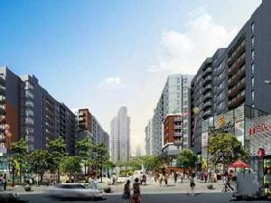 強輝金色池塘 強輝金色池塘