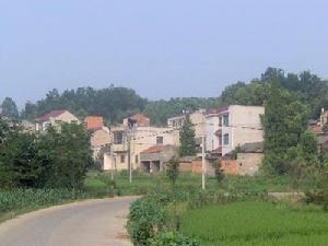 新富村[新昌縣羽林街道下轄行政村]