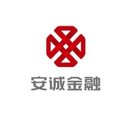 安徽安誠金融控股集團有限公司 安徽安誠金融控股集團有限公司