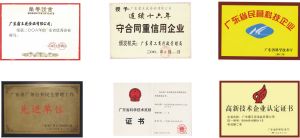 廣東霸王花食品有限公司