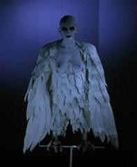 女妖[1979年比利時短片]