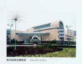 銅梁縣博物館 銅梁縣博物館