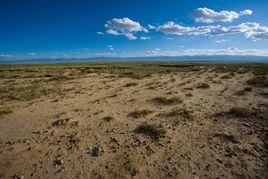 草原退化 草原退化