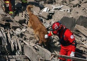 2007年秘魯地震 2007年秘魯地震