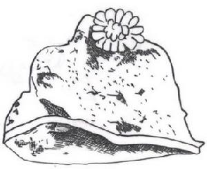 前勿力布格遼墓群