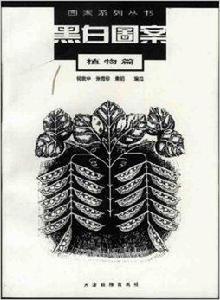 黑白圖案:植物篇 黑白圖案:植物篇