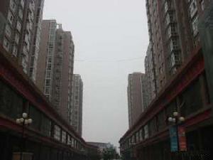 盛世年華二期 盛世年華二期